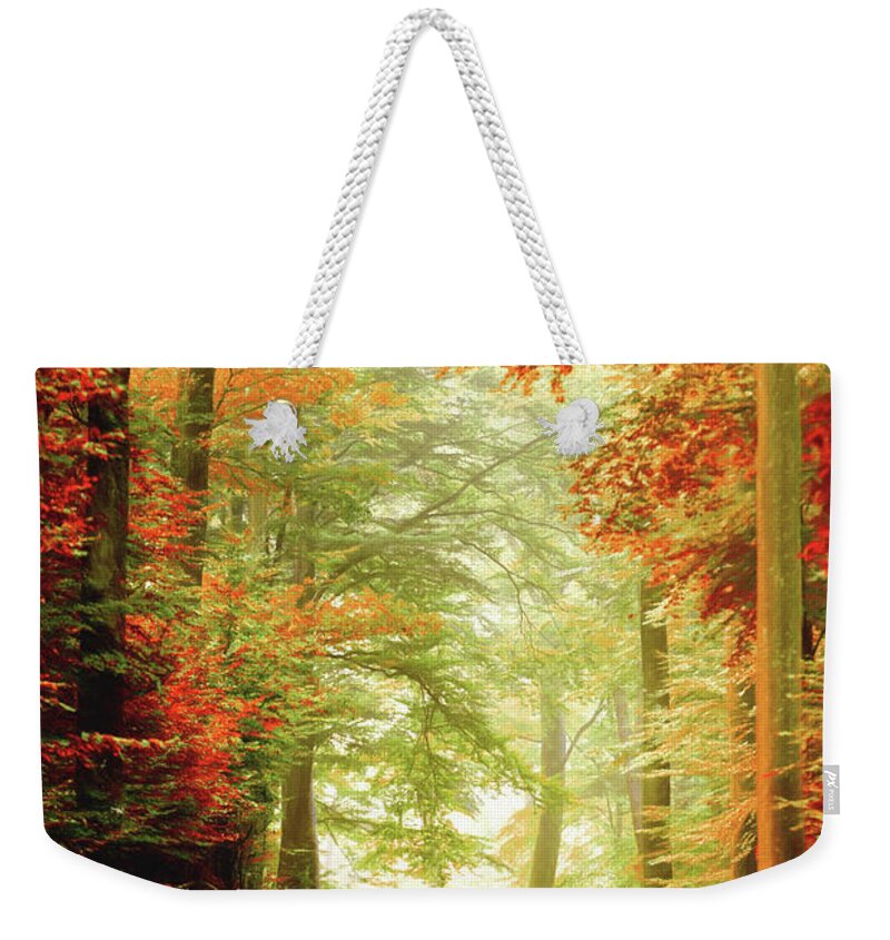 Autumn Weekender Tote Bag featuring the photograph Fall painting by Philippe Sainte-Laudy