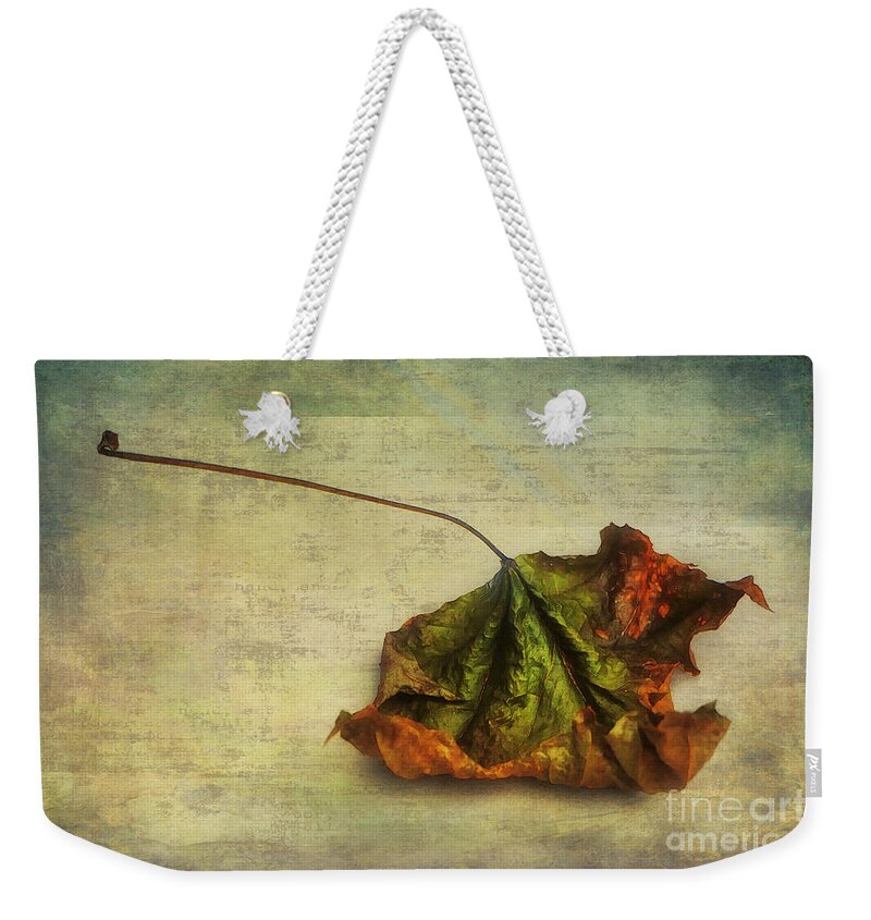 Photo Weekender Tote Bag featuring the photograph Fallen down in Summer by Jutta Maria Pusl