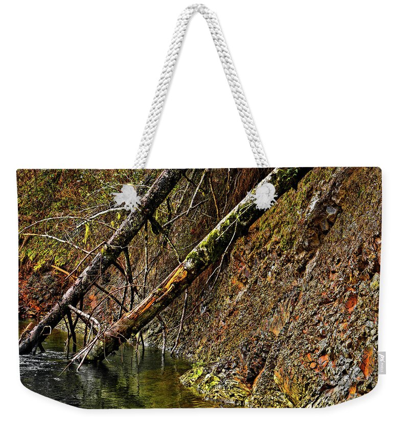 Riverscape Weekender Tote Bag featuring the photograph Fallen Friends 2 by Jason Brooks