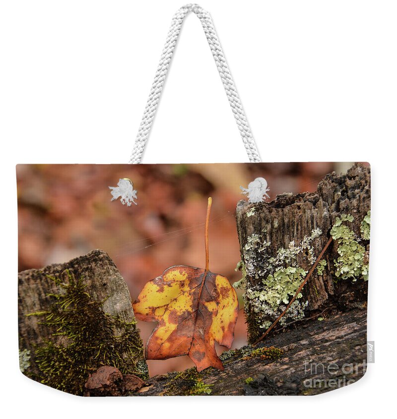 Leaf Weekender Tote Bag featuring the photograph Fallen Leaf by John Greco