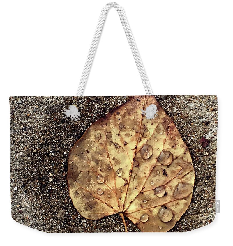Leaf Weekender Tote Bag featuring the photograph Fallen leaf by Steve Karol