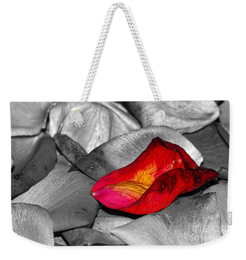 Photography Weekender Tote Bag featuring the photograph Fallen Rose Petals by Kaye Menner by Kaye Menner