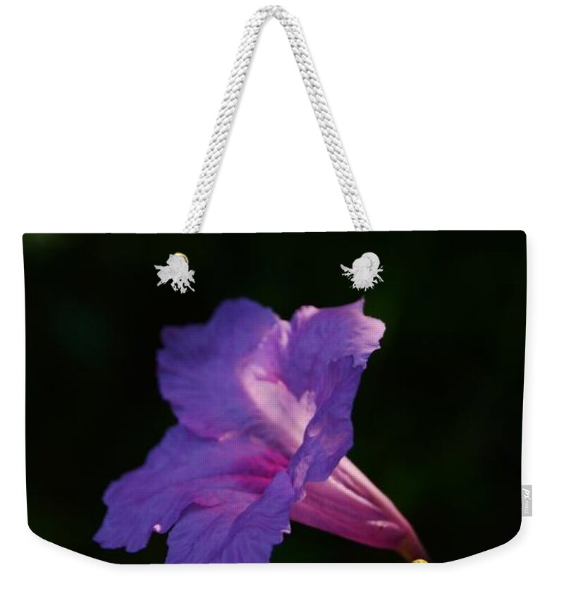 Falling Early Light Weekender Tote Bag featuring the photograph Falling Early Light by Warren Thompson