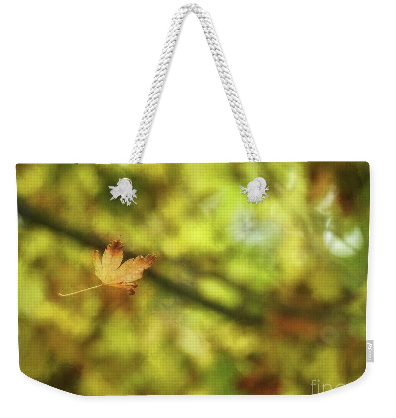 Deciduous Weekender Tote Bag featuring the photograph Falling by Peggy Hughes