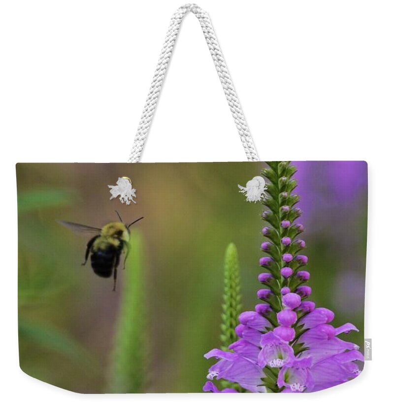 Bombus Weekender Tote Bag featuring the photograph False dragonhead and bumblebee in flight by Todd Bannor