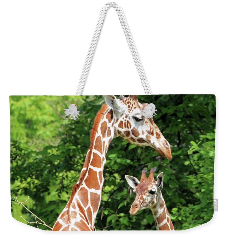 Giraffe Weekender Tote Bag featuring the photograph Family by Jackson Pearson