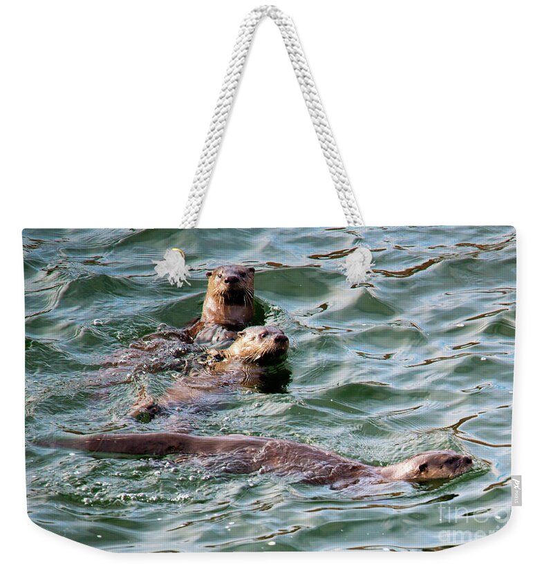 Otters Weekender Tote Bag featuring the photograph Family Play Time by Michael Dawson