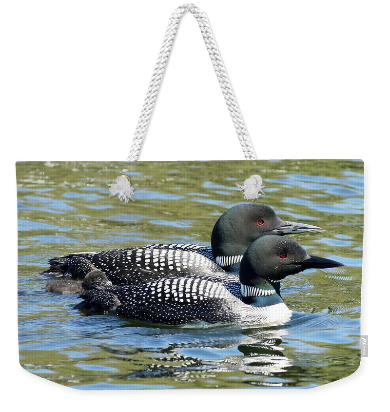 Loon Weekender Tote Bag featuring the photograph Family Unit by Heather King
