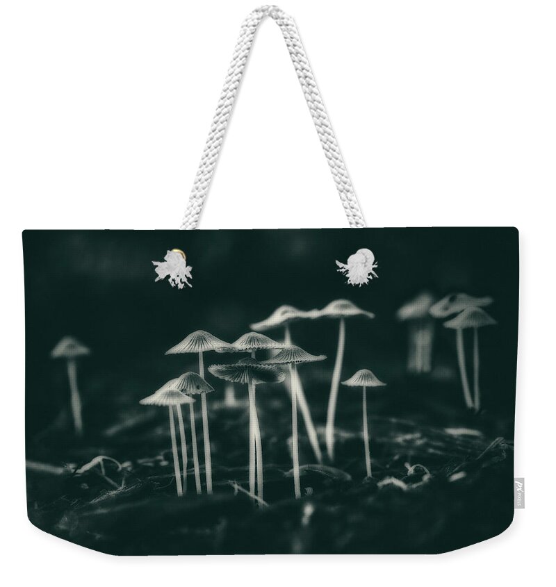 Fungus Weekender Tote Bag featuring the photograph Fanciful Fungus by Tom Mc Nemar