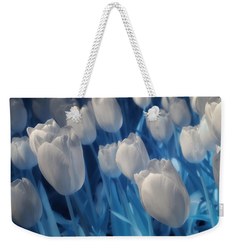 Tulips Weekender Tote Bag featuring the photograph Fanciful Tulips in Blue by James Barber