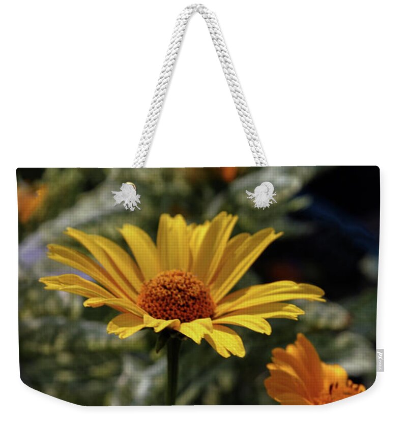 Fancy Leaves Weekender Tote Bag featuring the photograph Fancy Leaves 3763 H_2 by Steven Ward