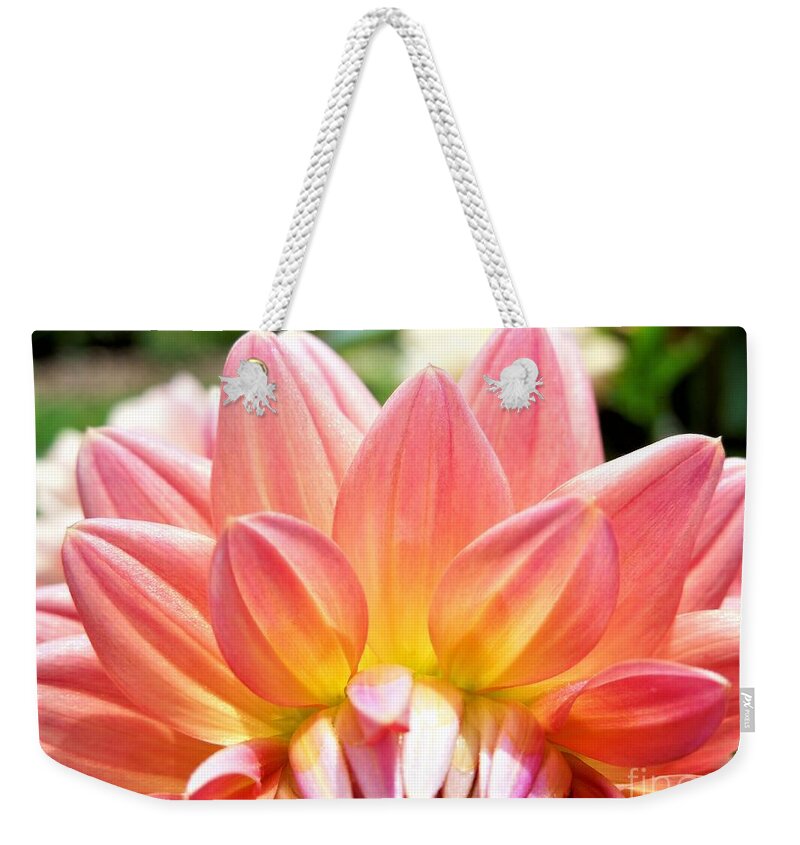 Flower Weekender Tote Bag featuring the photograph Fanned Out Petals by Chad and Stacey Hall