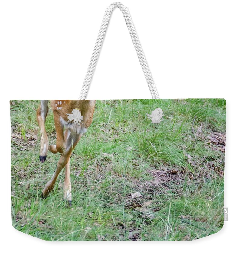 Fawn Weekender Tote Bag featuring the photograph Fast Fawn by Peg Runyan