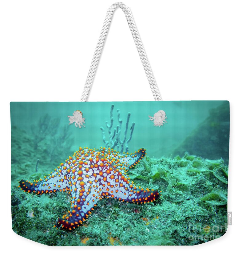 Coral Reef Weekender Tote Bag featuring the photograph Fat Sea Star by Becqi Sherman