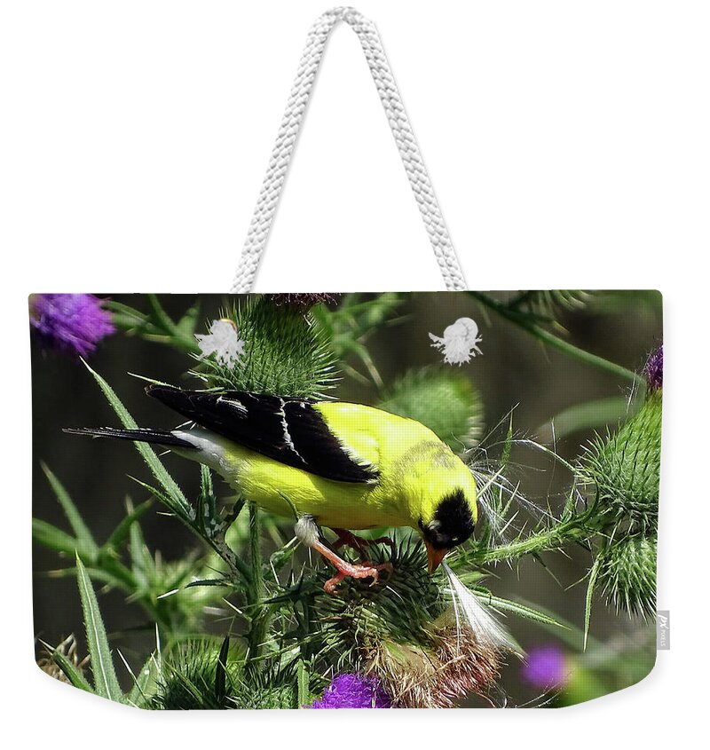 American Goldfinch Weekender Tote Bag featuring the photograph Favorite food of Goldfinch by Lilia S