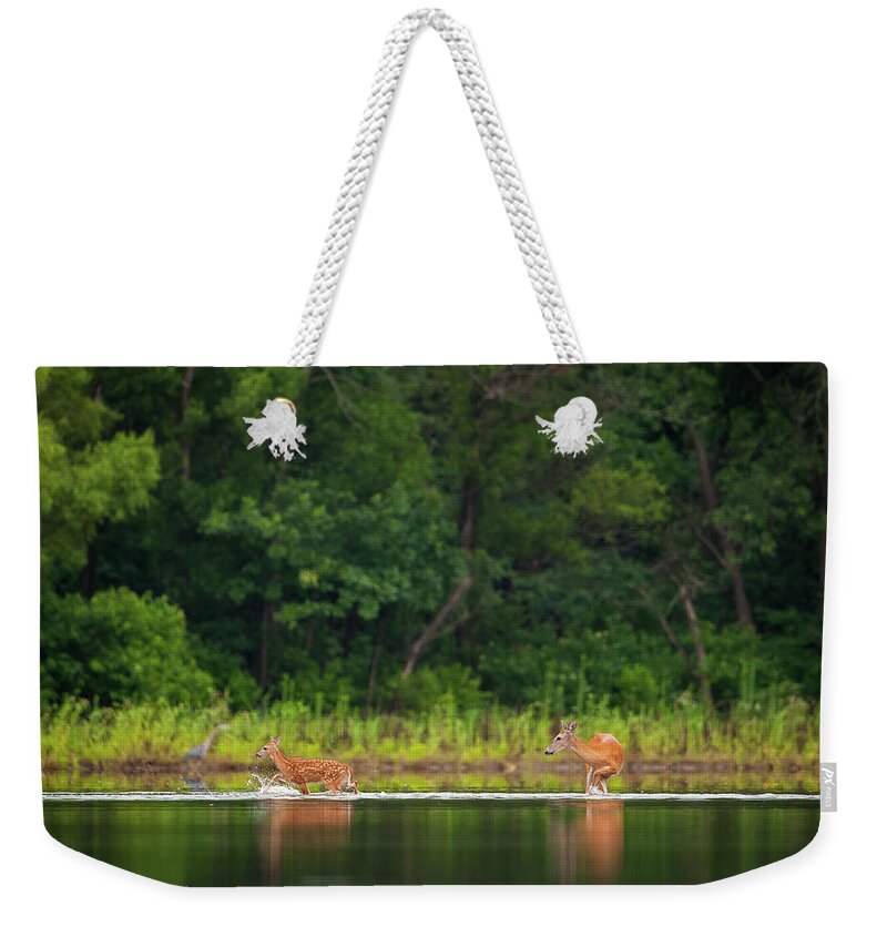 Pomona Lake Weekender Tote Bag featuring the photograph Fawn Splashing by Jeff Phillippi