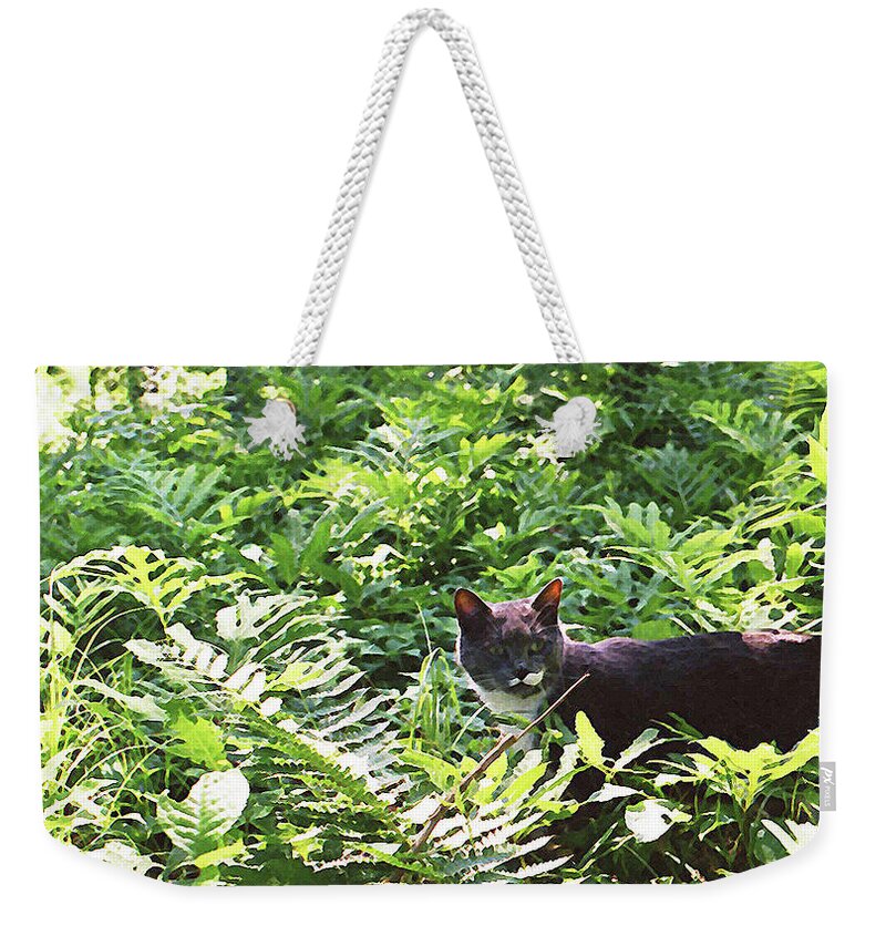 Cat In Woods Weekender Tote Bag featuring the photograph Fearless Hunter by Geoff Jewett