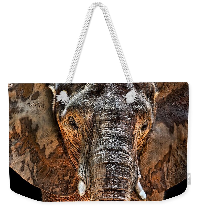 Elephant Weekender Tote Bag featuring the photograph Fearless by Janet Fikar