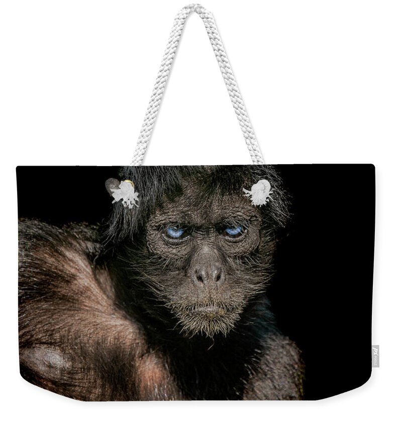 Spider Monkey Weekender Tote Bags