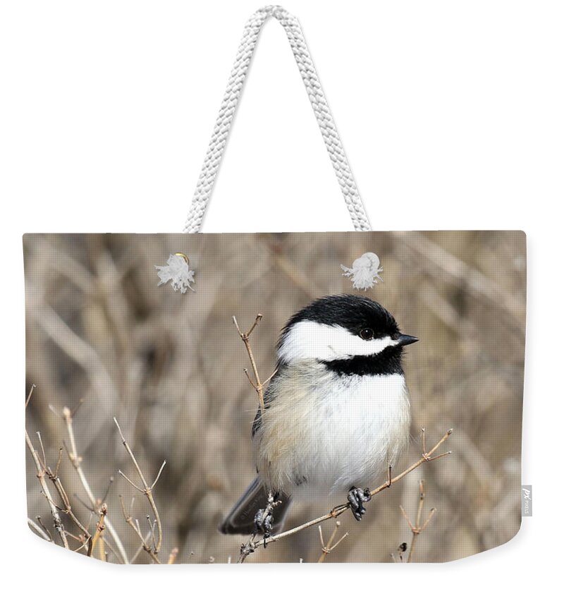 Chickadee Weekender Tote Bag featuring the photograph Feather weight by Heather King