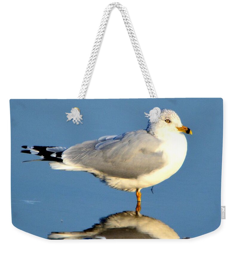 Gull Weekender Tote Bag featuring the photograph Feathered Float by Dani McEvoy