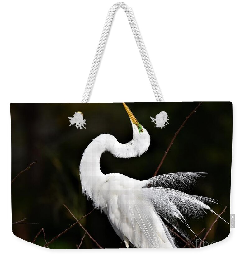 Great White Egret Weekender Tote Bag featuring the photograph Feathers On Display by Julie Adair