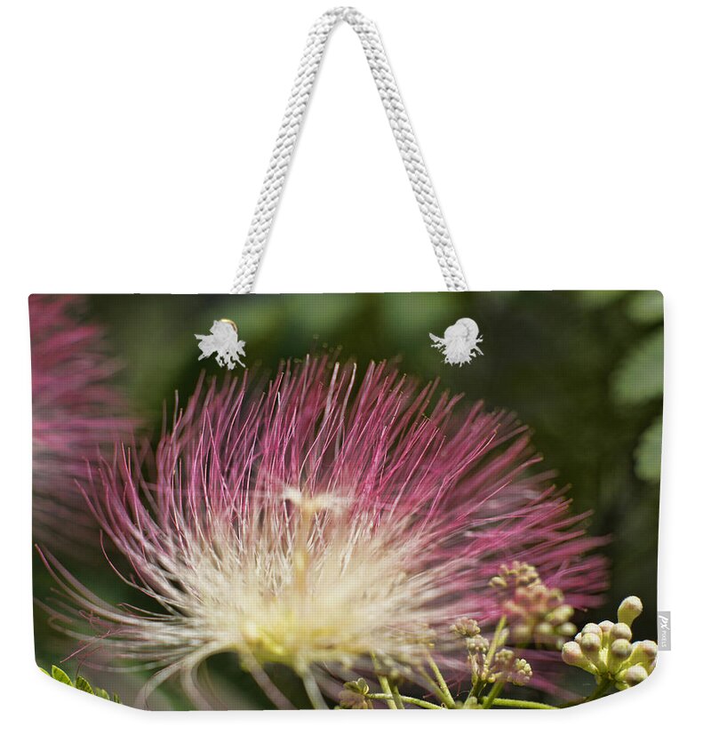 Flower Weekender Tote Bag featuring the photograph Feathery Mimosa Blooms by Cricket Hackmann