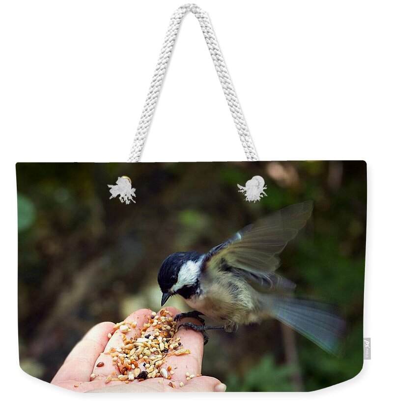 Bird Weekender Tote Bag featuring the photograph Feeding bird from my hand by Lilia S
