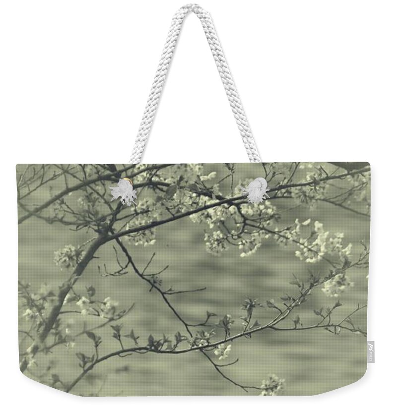  Weekender Tote Bag featuring the photograph Feel The Serenity by The Art Of Marilyn Ridoutt-Greene