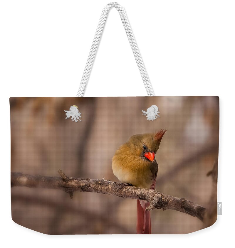 Animals Weekender Tote Bag featuring the photograph Female Cardinal by Rikk Flohr