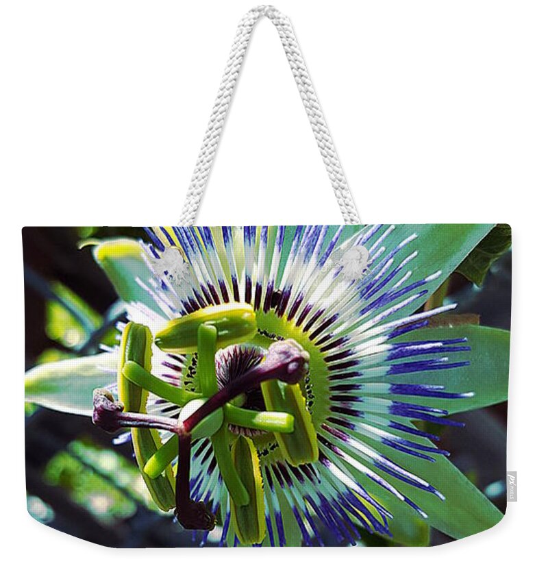 Flower Weekender Tote Bag featuring the photograph Female Flower by Maria Aduke Alabi