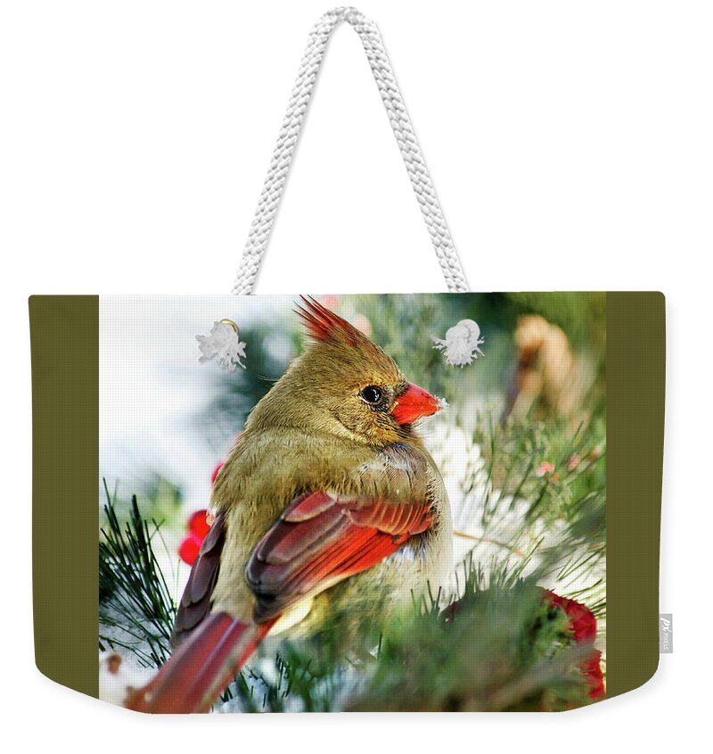 Cardinal Weekender Tote Bag featuring the photograph Female Northern Cardinal by Christina Rollo