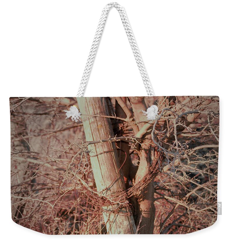 Fence Weekender Tote Bag featuring the photograph Fence Post Buddy by Troy Stapek