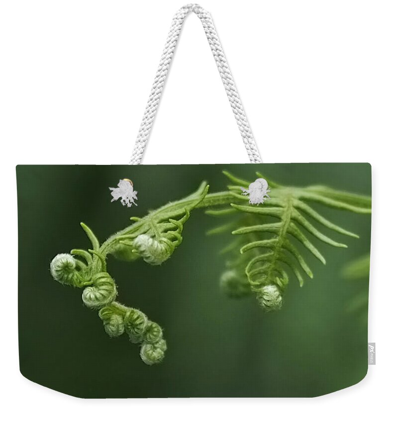 Fern Weekender Tote Bag featuring the photograph Fern Frond Awakening by Rona Black