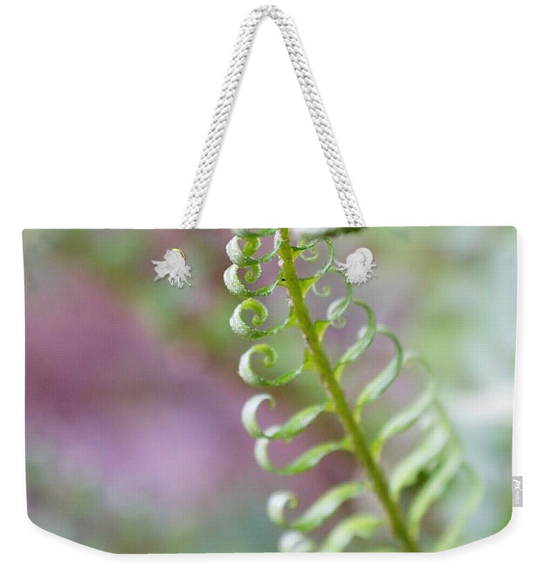 Fern Weekender Tote Bag featuring the photograph Fern by Megan Swormstedt