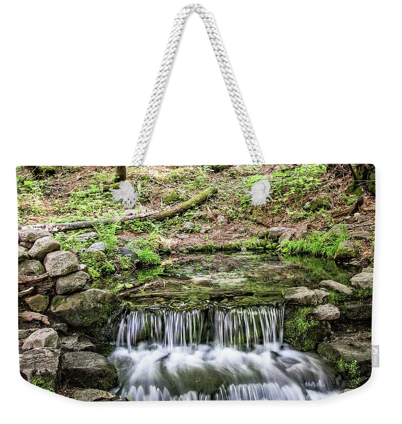 Yosemite Weekender Tote Bag featuring the photograph Fern Spring 5 by Ryan Weddle