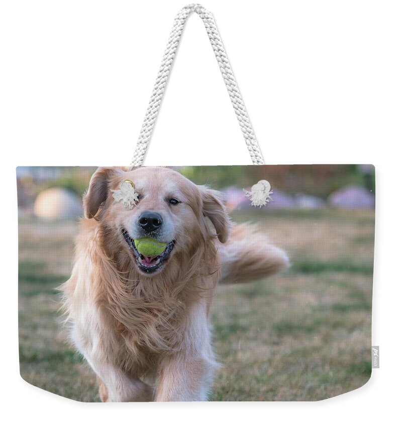 Fetch Weekender Tote Bag featuring the photograph Fetch by Jennifer Grossnickle