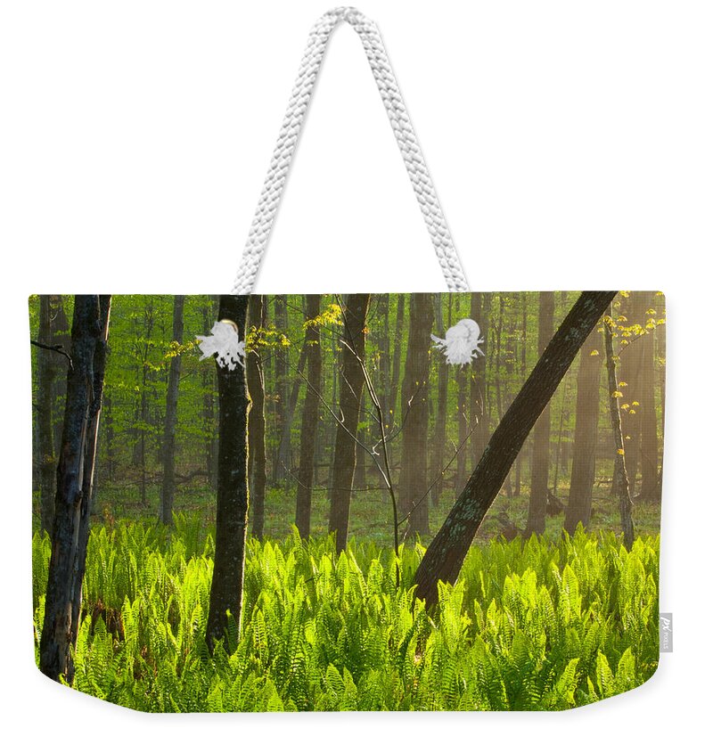 Wisconsin Weekender Tote Bag featuring the photograph Fiddle me this by David Heilman