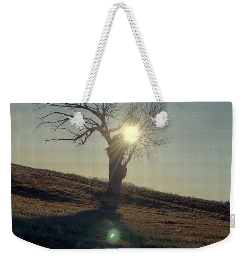 Tree Weekender Tote Bag featuring the photograph Field and Tree by Troy Stapek