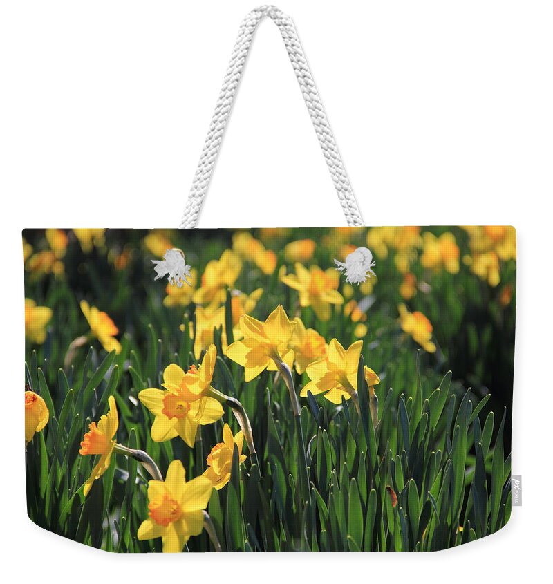 Daffodil Weekender Tote Bag featuring the photograph Field of Daffodils by Angela Murdock