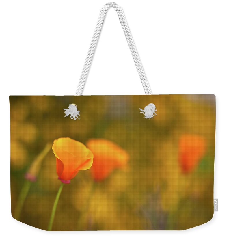 Flower Weekender Tote Bag featuring the photograph Field of Gold by Mike Reid