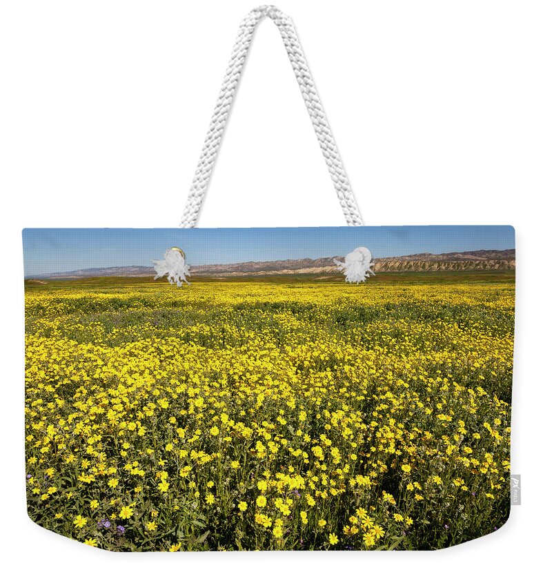 Carrizo Weekender Tote Bag featuring the photograph Field of Gold by Rick Pisio