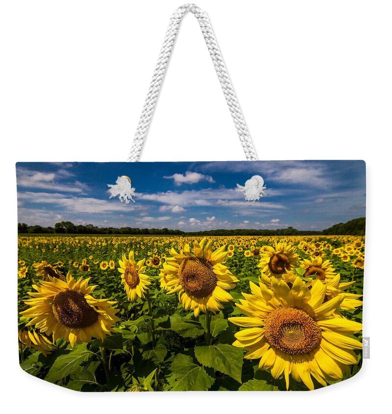 Blue Sky Weekender Tote Bag featuring the photograph Field of Sun by Ron Pate