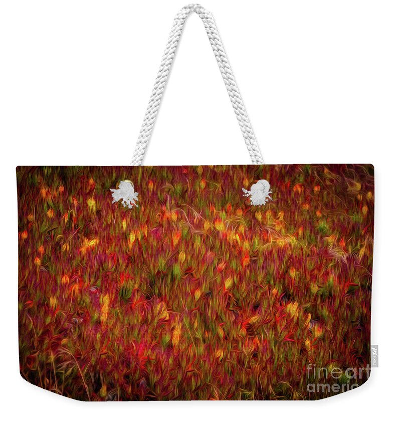 Sfo Weekender Tote Bag featuring the photograph Fields on FIre by Doug Sturgess