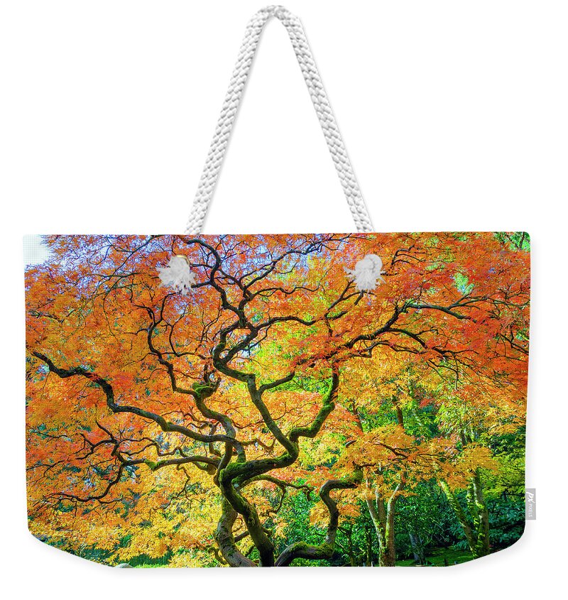 Japanese Maple Weekender Tote Bag featuring the photograph Fiery Japanese Maple by Kristine Anderson