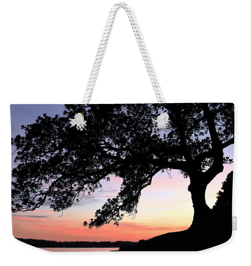 Fig Weekender Tote Bag featuring the photograph Fig Tree Silhouette by Nicholas Blackwell