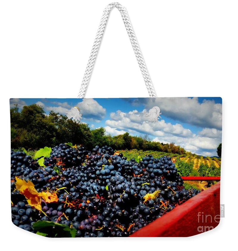 Harvest Weekender Tote Bag featuring the photograph Filling The Red Wagon by Lainie Wrightson