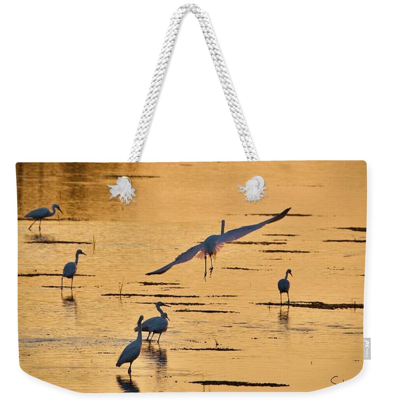 Bird Weekender Tote Bag featuring the photograph Final Glide Path to Dinner by Shawn M Greener