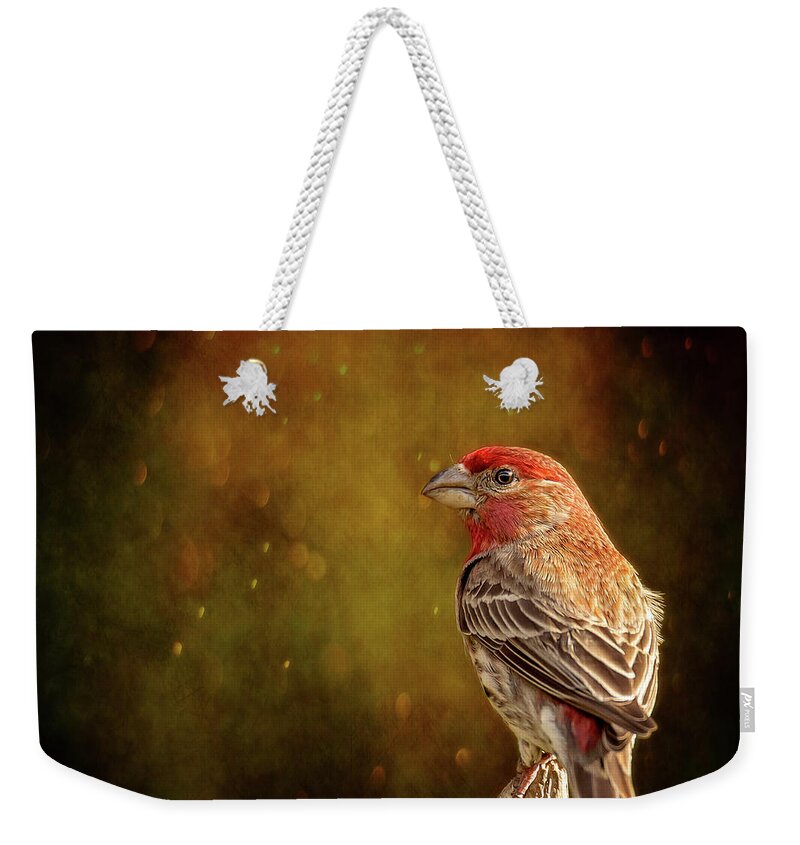 Animal Weekender Tote Bag featuring the photograph Finch From The Back by Bill and Linda Tiepelman