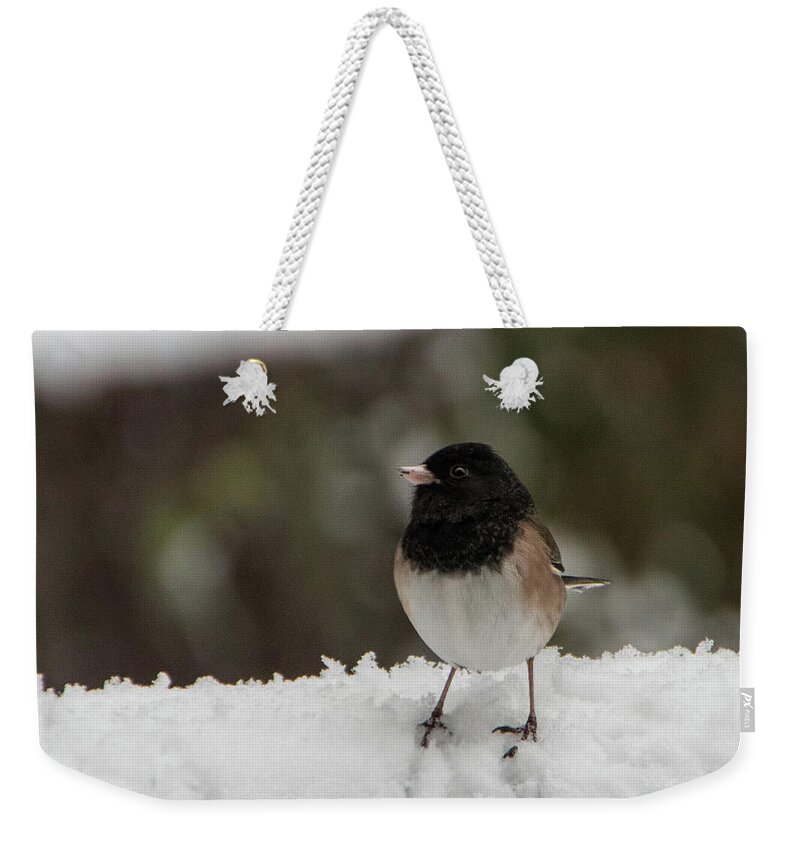 Bird Weekender Tote Bag featuring the photograph Dark-eyed Junco by Marilyn Wilson